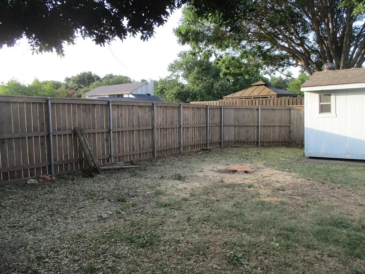 Cleared yard after professional tree removal in Jeffrey City